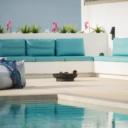 Tholaria * חאניה